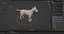Fur Wolf Rigged i animacja w Blenderze