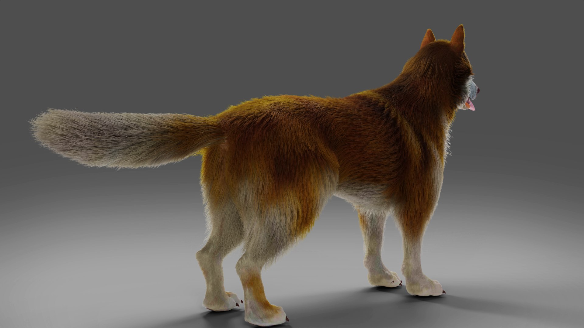 3D Fur Wolf Rigged and Animation in Blender https://p.turbosquid.com/ts-thumb/QH/xjOdyA/Om/07/jpg/1668531882/1920x1080/fit_q87/b573140ace988d2fa8ff99b6eb6ee35d2f856e3b/07.jpg