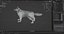 Fur Wolf Rigged i animacja w Blenderze