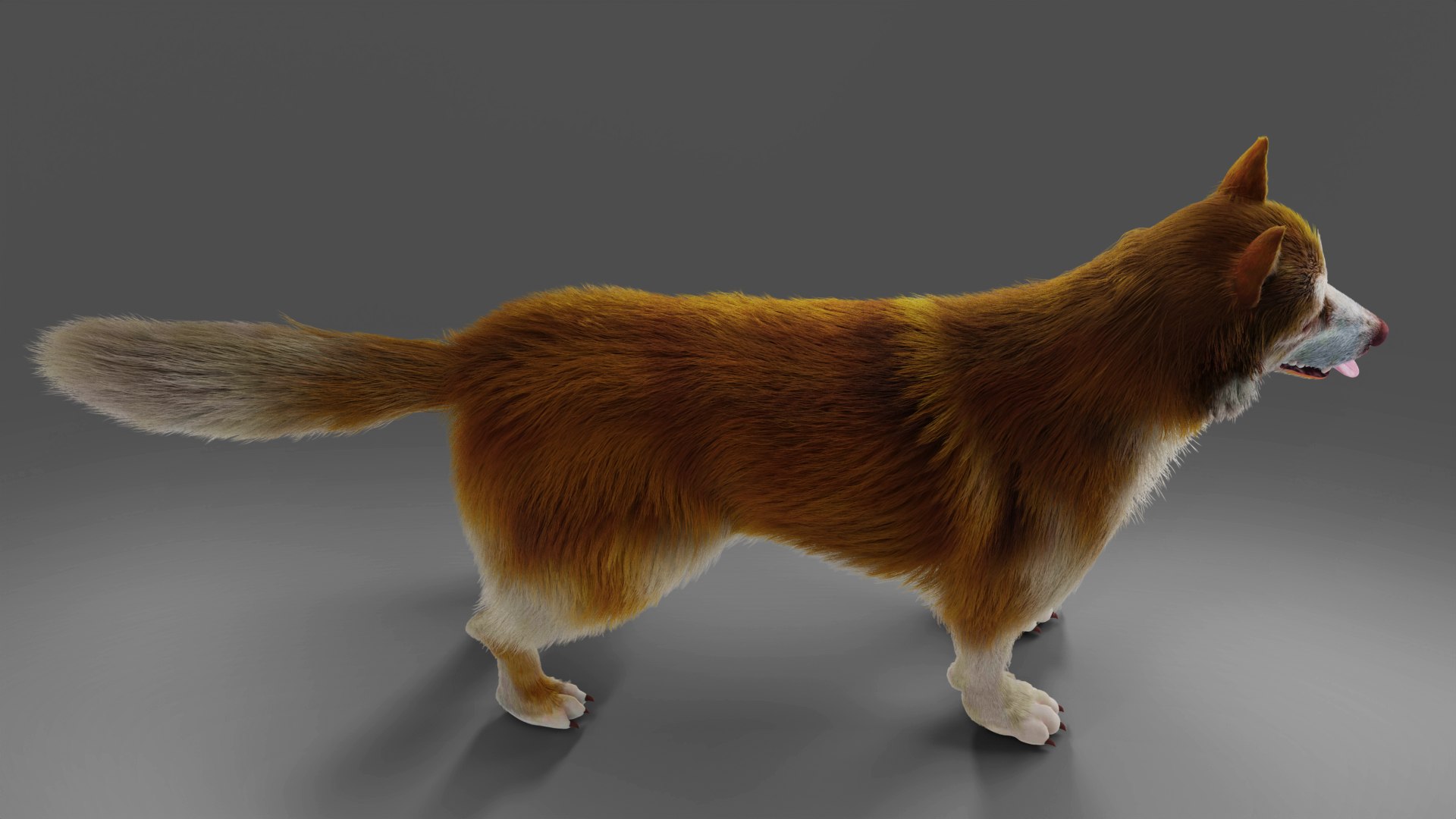 3D Fur Wolf Rigged and Animation in Blender https://p.turbosquid.com/ts-thumb/QH/xjOdyA/qD/08/jpg/1668531883/1920x1080/fit_q87/0c6f46a5af615b13ec4e249d120f084031b85417/08.jpg