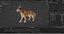 Fur Wolf Rigged i animacja w Blenderze
