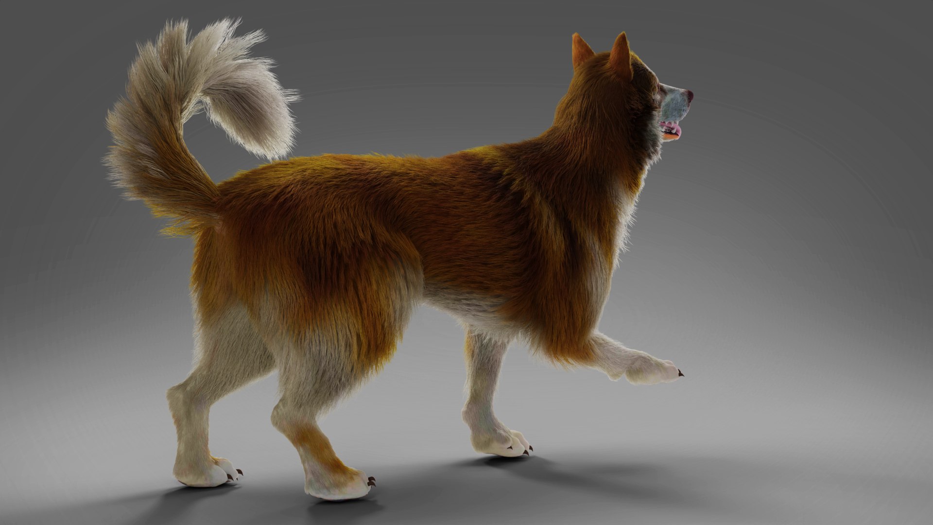3D Fur Wolf Rigged and Animation in Blender https://p.turbosquid.com/ts-thumb/QH/xjOdyA/xl/04/jpg/1668531880/1920x1080/fit_q87/18491a3bc529e331b1cbcba5205245f2ac585f20/04.jpg