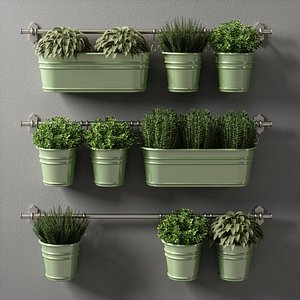 plants set 08