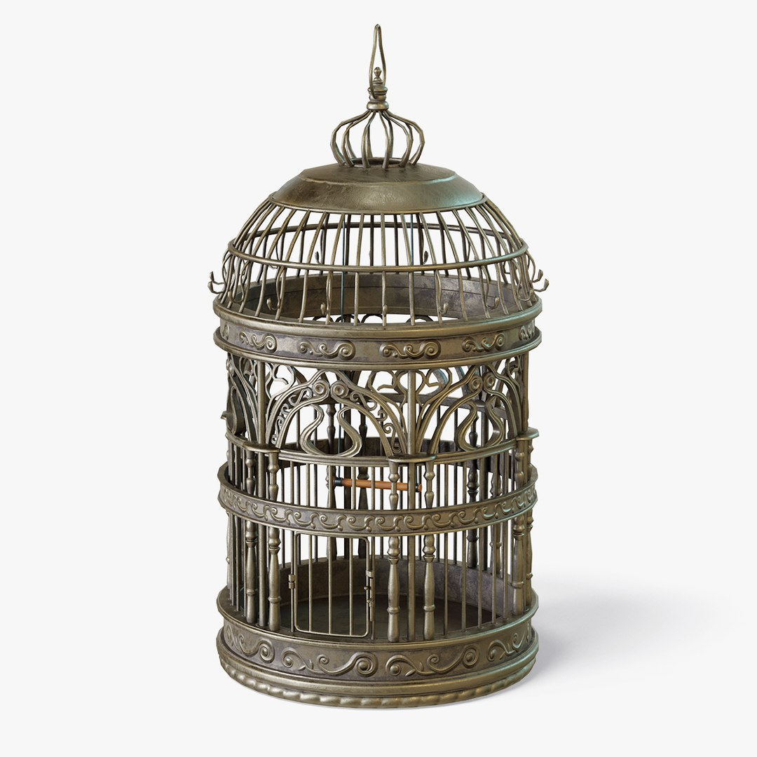 Birdcage Classic Victorian 3D model https://p.turbosquid.com/ts-thumb/QI/FETryB/4Q/_birdcage07_1200x1200/jpg/1707061596/1920x1080/fit_q87/95463743658fd3bb8f5efe232466730b3a4c9507/_birdcage07_1200x1200.jpg