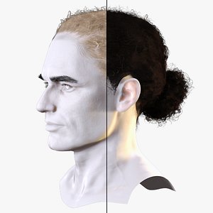 3D Curly Low Man Bun -Realistic Male 3D Hair Model