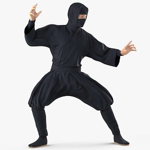 ninja rigged model