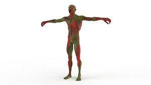 Realistic Zombie Character