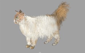 persian internal organs 3d fbx