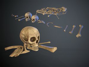 Skulls Bones