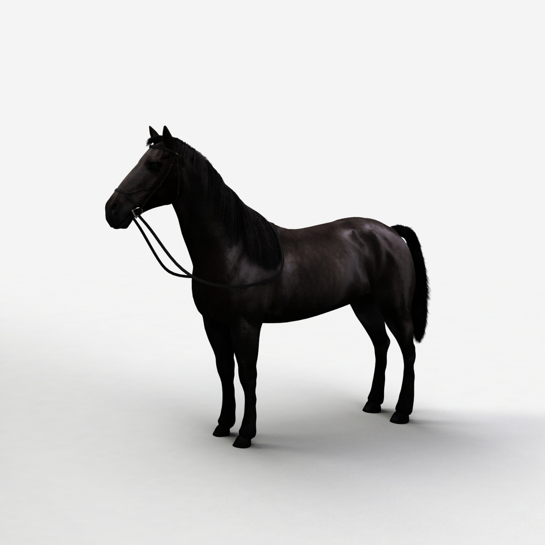 rigged bull cow 3D model https://p.turbosquid.com/ts-thumb/QJ/2bw0Uf/0UVz2NsJ/horse_a/jpg/1504789610/1920x1080/turn_fit_q99/794e8f4004a116857572a47da8b6f961740bb6fe/horse_a-1.jpg