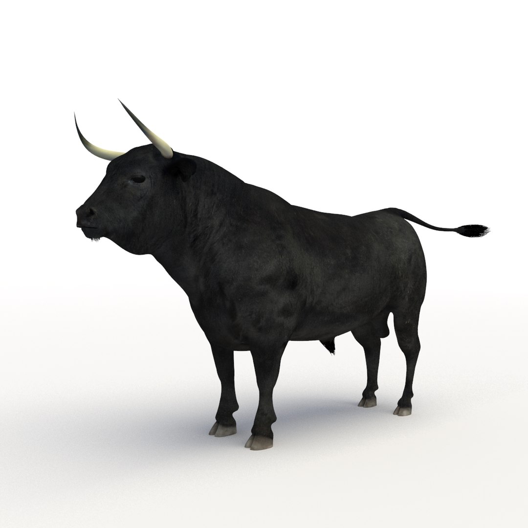 rigged bull cow 3D model https://p.turbosquid.com/ts-thumb/QJ/2bw0Uf/2qp2FVJb/th_bull_01/jpg/1504789541/1920x1080/fit_q87/6933a13838e4c3b611646b4ab6bf2520cae53d14/th_bull_01.jpg