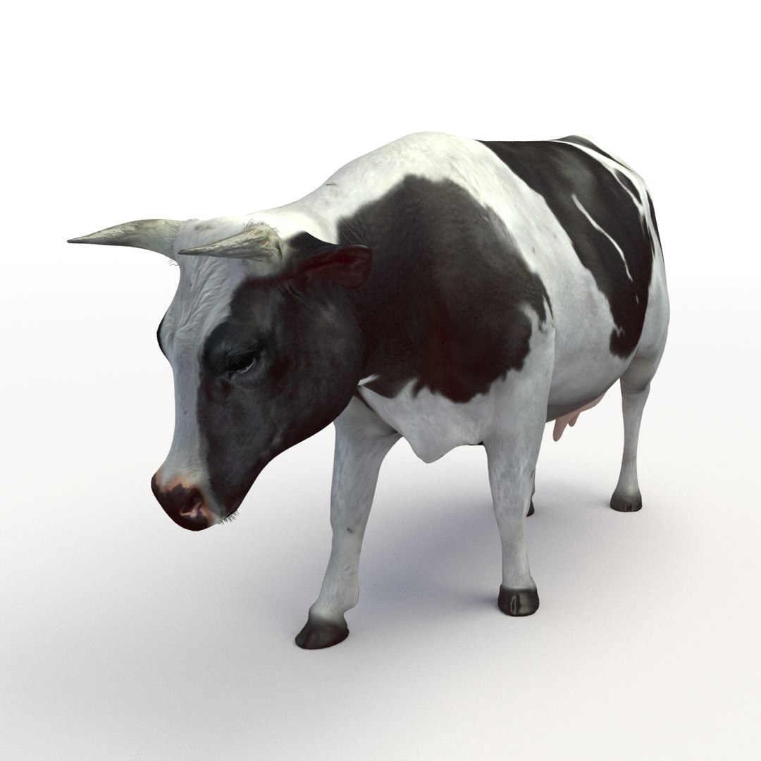 rigged bull cow 3D model https://p.turbosquid.com/ts-thumb/QJ/2bw0Uf/34XRTvU2/thumbnail_06/jpg/1504789480/1920x1080/fit_q87/8047e715de9a64a1bafe6cc1f210fe65c9cde2f7/thumbnail_06.jpg