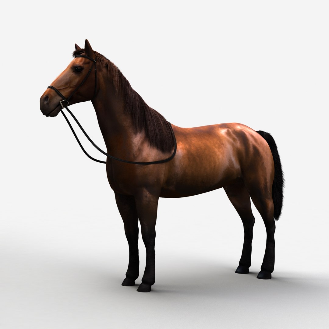 rigged bull cow 3D model https://p.turbosquid.com/ts-thumb/QJ/2bw0Uf/546H313Q/horse_b_000000/jpg/1504789718/1920x1080/fit_q87/af00ae621345af3550d392dab1c02f4f5f1b72a0/horse_b_000000.jpg