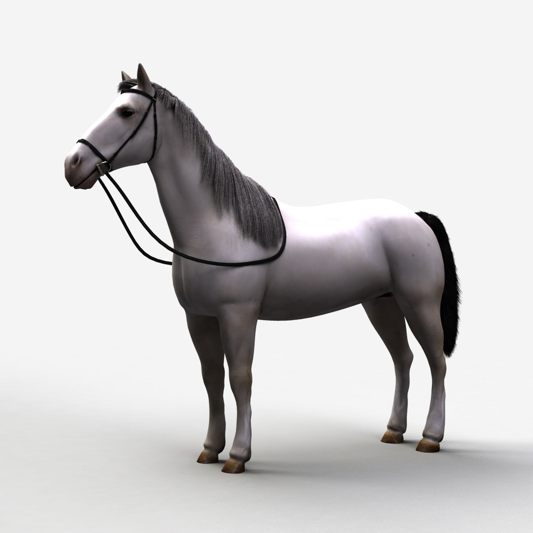 rigged bull cow 3D model https://p.turbosquid.com/ts-thumb/QJ/2bw0Uf/7c7xFtic/horse_c_000000/jpg/1504789718/1920x1080/fit_q87/86b248db1a23f1e34459709ad2e24f4d1a33c381/horse_c_000000.jpg