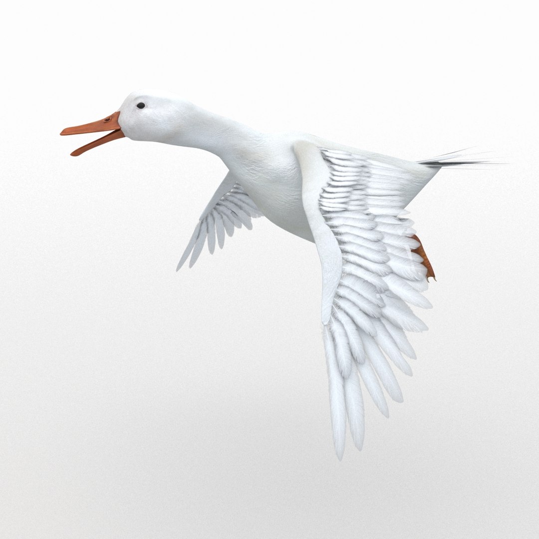 rigged bull cow 3D model https://p.turbosquid.com/ts-thumb/QJ/2bw0Uf/BkxVtyeG/duck_th_06/jpg/1505221904/1920x1080/fit_q87/0360c88226023422630b9d5b081f314ce49d01a0/duck_th_06.jpg
