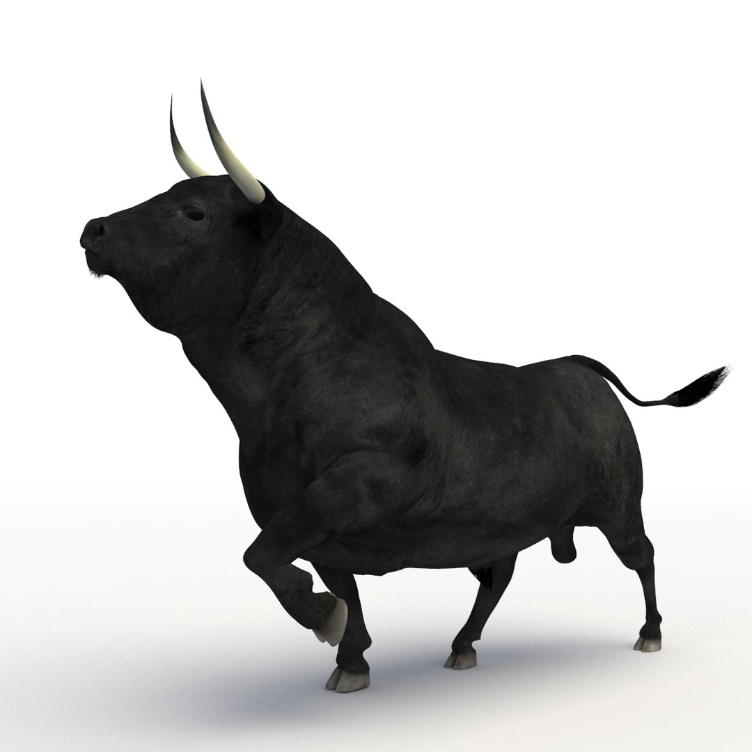 rigged bull cow 3D model https://p.turbosquid.com/ts-thumb/QJ/2bw0Uf/Dv8bPAOL/th_bull_08/jpg/1504789541/1920x1080/fit_q87/71fa0a3b41f7382dcce084a0c01ec520ef8e91a4/th_bull_08.jpg