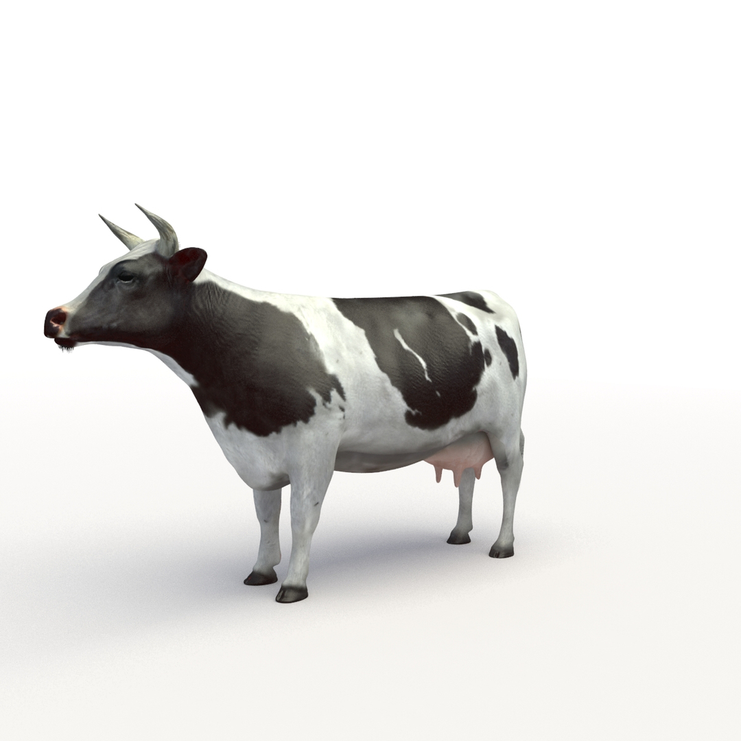 rigged bull cow 3D model https://p.turbosquid.com/ts-thumb/QJ/2bw0Uf/EiX00Vmm/turn_cow/jpg/1504789364/1920x1080/turn_fit_q99/963bdd2e7a60acc1c9692df350961e7d813a8dfc/turn_cow-1.jpg