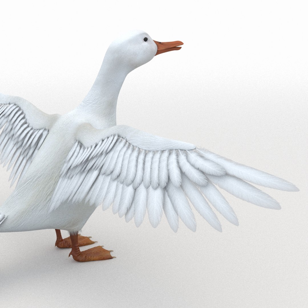 rigged bull cow 3D model https://p.turbosquid.com/ts-thumb/QJ/2bw0Uf/GqxmRy0H/duck_th_04/jpg/1505221904/1920x1080/fit_q87/ea2bda444a03a29eb45d3f6418ad2fcca2665071/duck_th_04.jpg