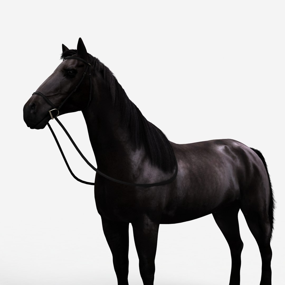 rigged bull cow 3D model https://p.turbosquid.com/ts-thumb/QJ/2bw0Uf/LhpUnFRN/horse_a_000001/jpg/1504789718/1920x1080/fit_q87/02eba622af466a7053243a37a8f7c5aec96e7992/horse_a_000001.jpg