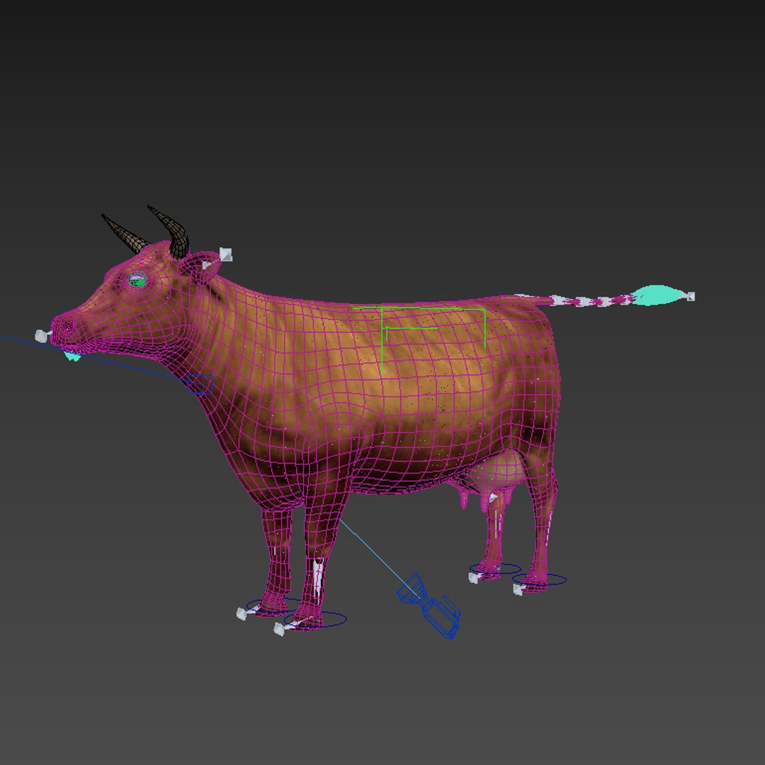 rigged bull cow 3D model https://p.turbosquid.com/ts-thumb/QJ/2bw0Uf/ddVBii4D/brown_cow_th_11/jpg/1504789463/1920x1080/fit_q87/bfcb313ae0ffcf86b54a0fdc053256cf112eb542/brown_cow_th_11.jpg