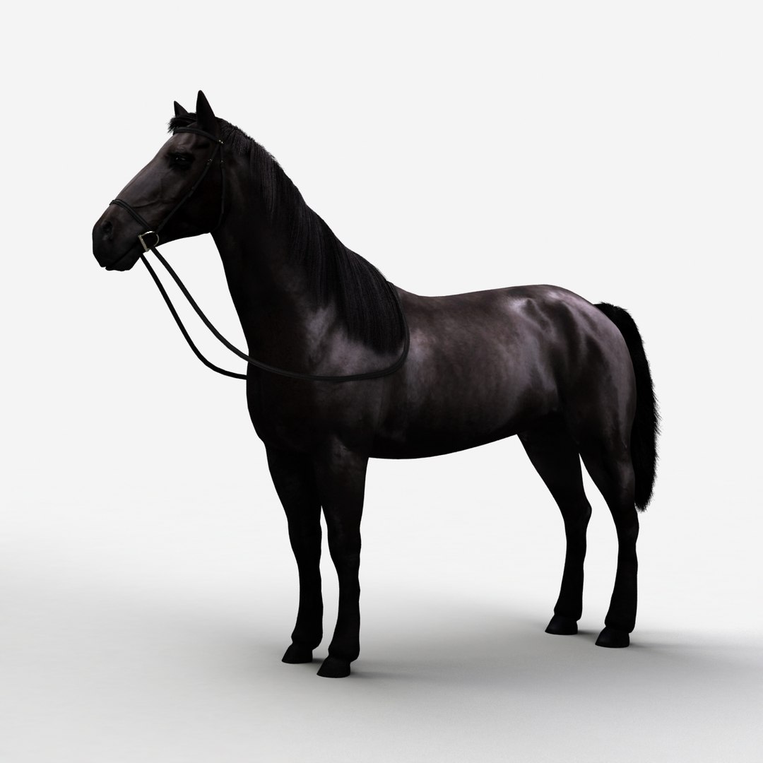 rigged bull cow 3D model https://p.turbosquid.com/ts-thumb/QJ/2bw0Uf/e2c4DorH/horse_a_000000/jpg/1504789718/1920x1080/fit_q87/be49f22127d88e0e249ff4e51151bd876ab49552/horse_a_000000.jpg