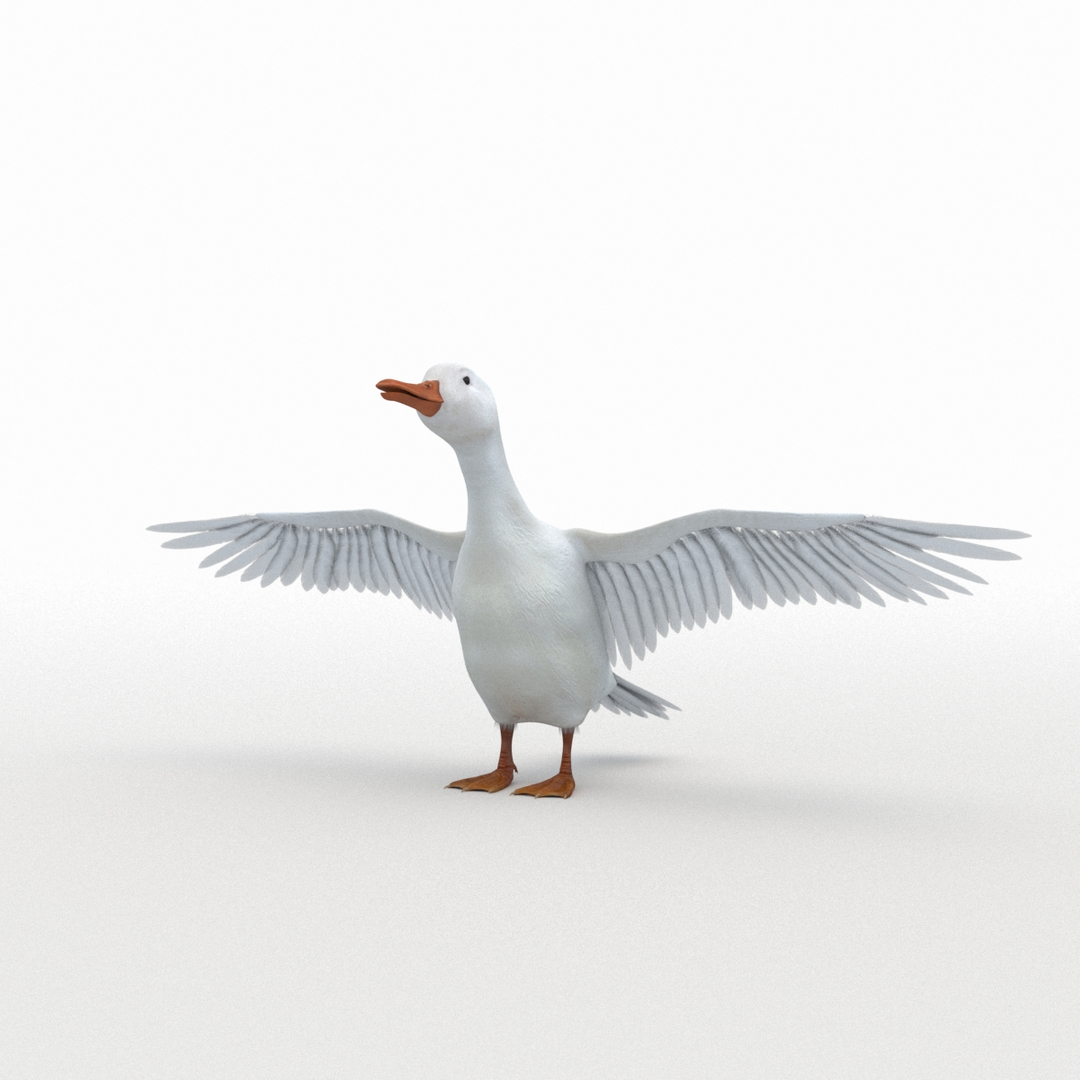 rigged bull cow 3D model https://p.turbosquid.com/ts-thumb/QJ/2bw0Uf/lNrd47mT/white_duck_turn/jpg/1505221921/1920x1080/turn_fit_q99/d05d7c4b513eebf338b45cd8ac36247faeffb9d2/white_duck_turn-1.jpg