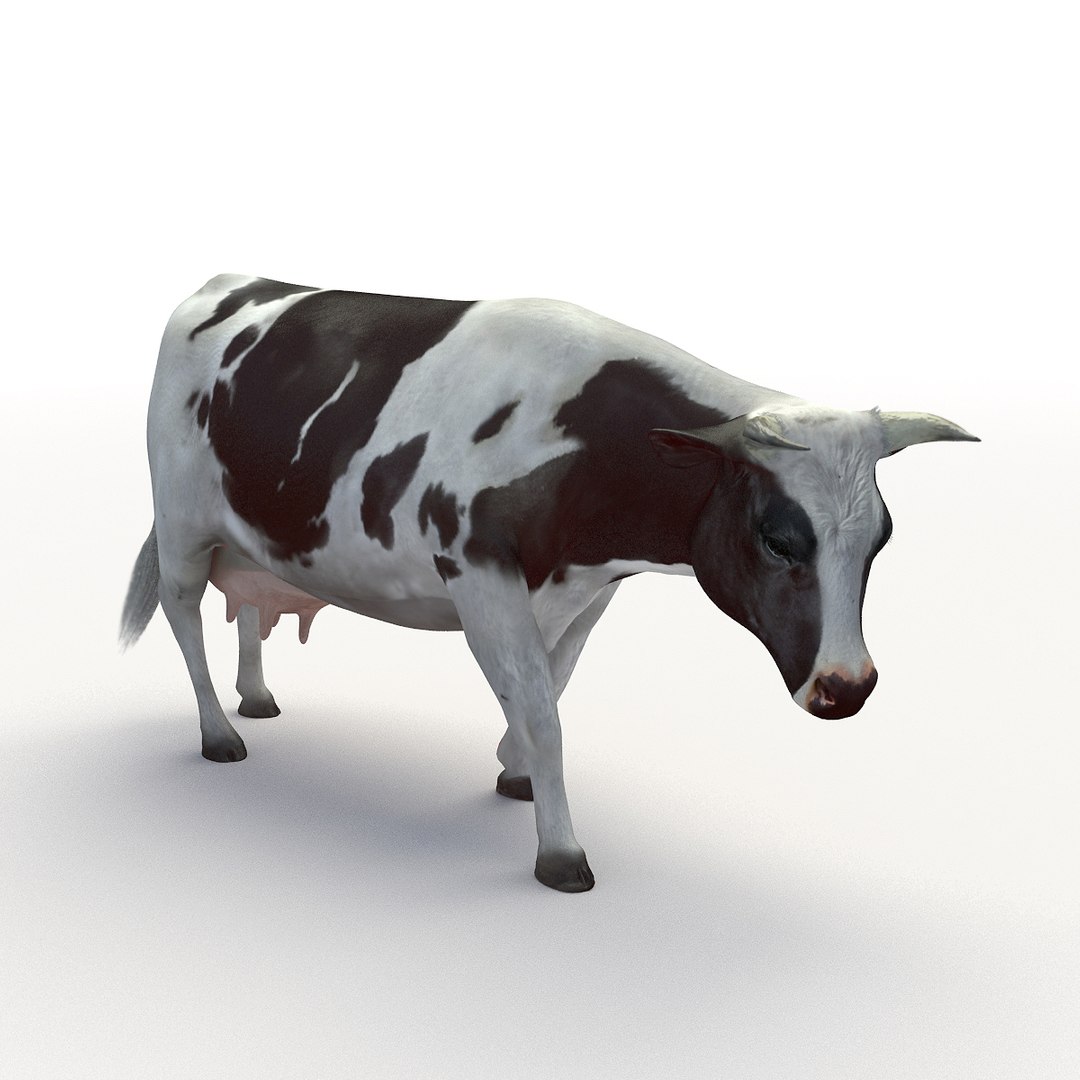 rigged bull cow 3D model https://p.turbosquid.com/ts-thumb/QJ/2bw0Uf/nXudeXPC/thumbnail_02/jpg/1504789480/1920x1080/fit_q87/1010aa340b55bade1aa8839c54522cfacb55de3f/thumbnail_02.jpg