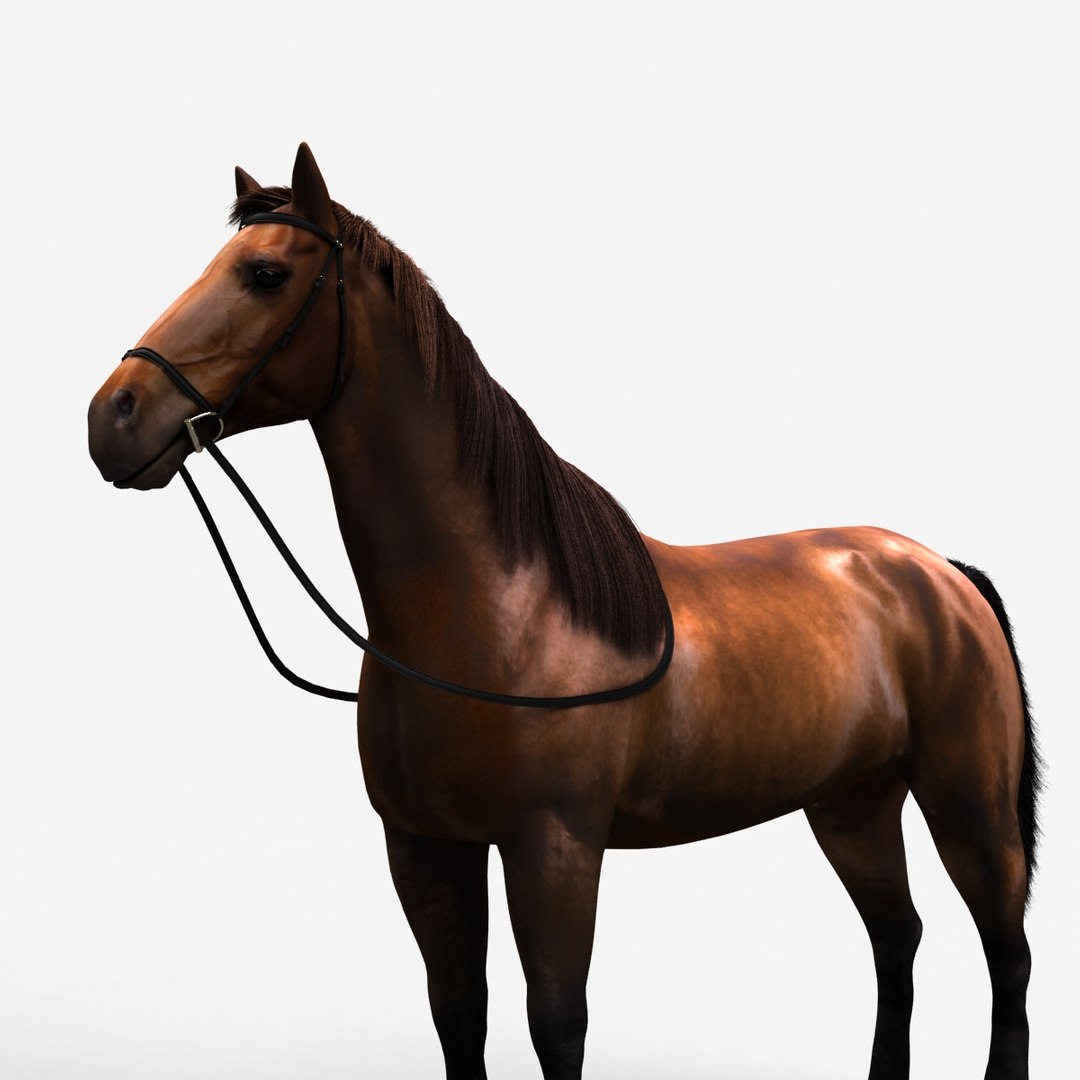 rigged bull cow 3D model https://p.turbosquid.com/ts-thumb/QJ/2bw0Uf/sU6QVQG8/horse_b_000001/jpg/1504789718/1920x1080/fit_q87/a96da76126fb7d78481b8f9acb5d8db21468f98f/horse_b_000001.jpg