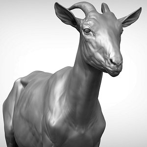 Goat v2