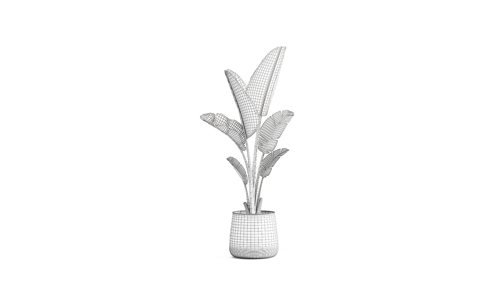 3D Banana palm in a rust pot for the interior 947 model https://p.turbosquid.com/ts-thumb/QJ/EPNaxM/U7/1ravenala2804202109/jpg/1619694626/1920x1080/fit_q87/ac5f85626c513addccb60a2e64c114f808e248df/1ravenala2804202109.jpg