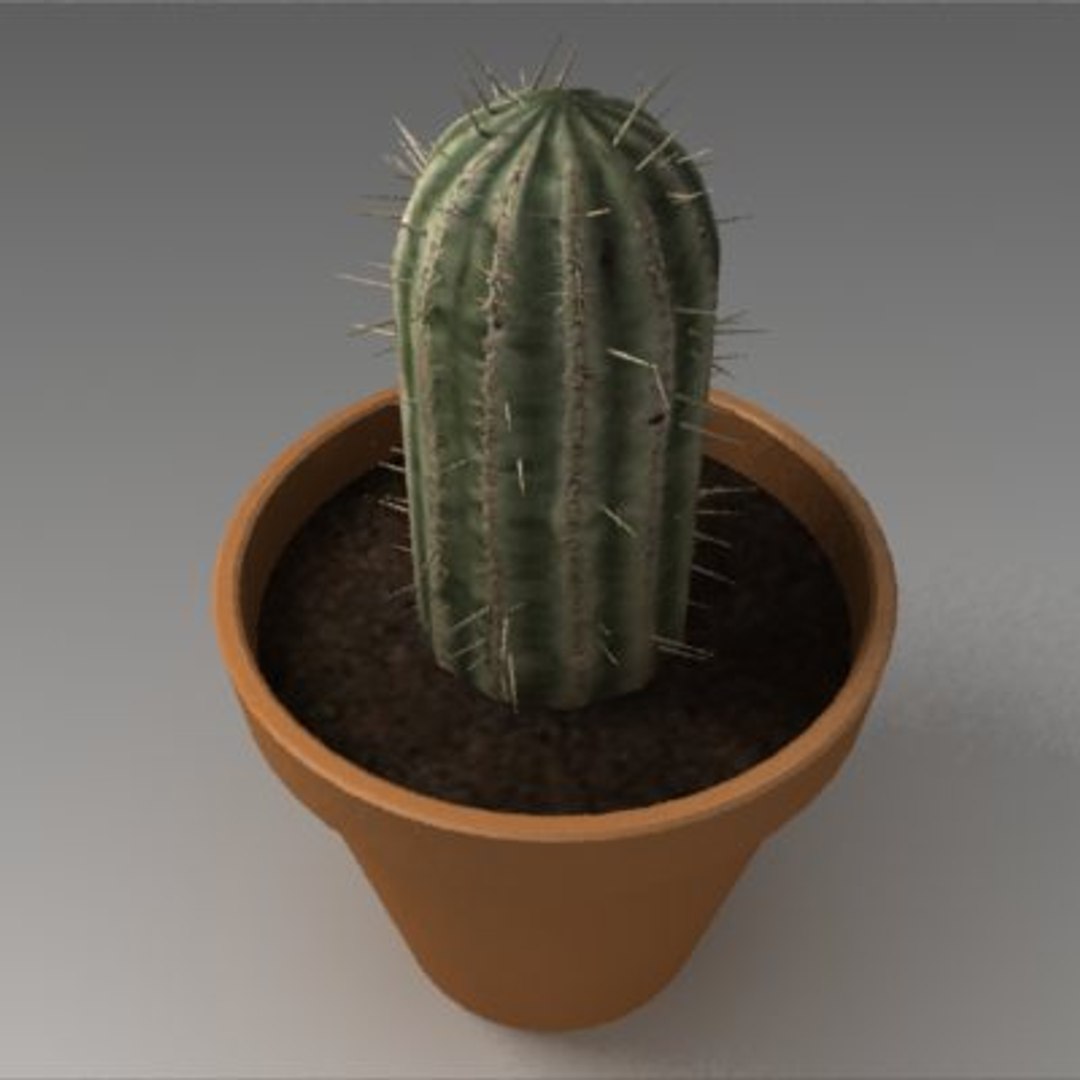 cactus decorating 3d 3ds https://p.turbosquid.com/ts-thumb/QJ/F2qixB/SK0eGdfP/cactus_2/jpg/1275005510/1920x1080/fit_q87/53bd63ad7da1eaac008a3a46edf4a6ffa6f97f3e/cactus_2.jpg