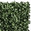 phytowall Hedera 61