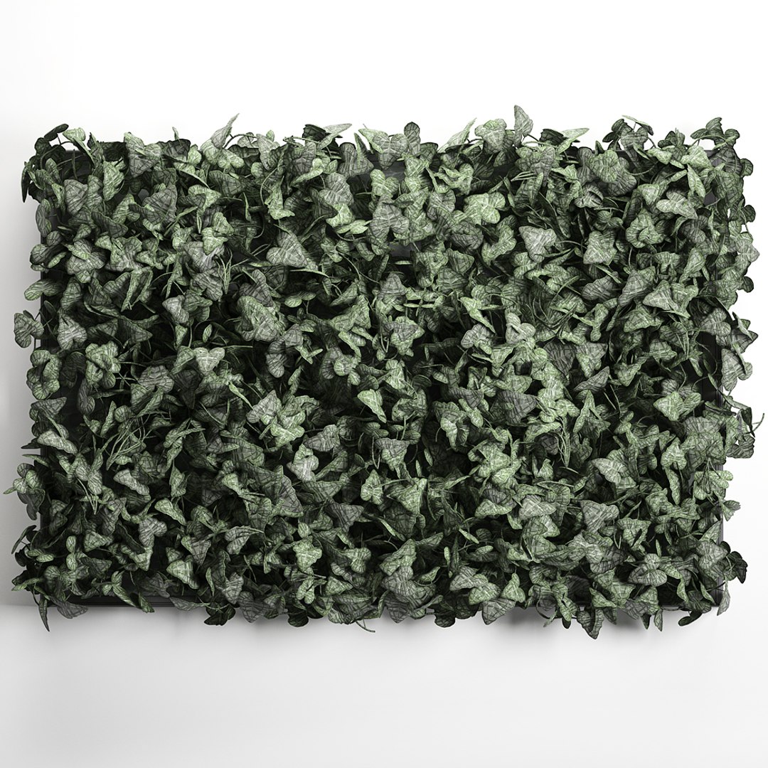 3D vertical green wall phytowall model https://p.turbosquid.com/ts-thumb/QJ/FiWq8i/JRZwtVfN/wallivy0210202008/jpg/1601839904/1920x1080/fit_q87/6f176432b841bb1e81aaac8014a1cefd3c5014ac/wallivy0210202008.jpg