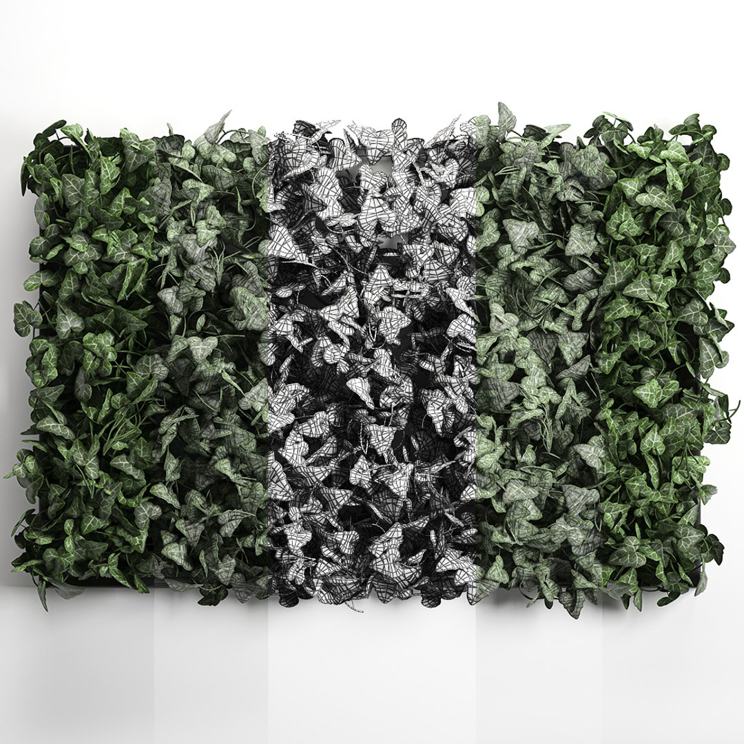 3D vertical green wall phytowall model https://p.turbosquid.com/ts-thumb/QJ/FiWq8i/JuOBM1Y4/wallivy0210202007/jpg/1601839904/1920x1080/fit_q87/1b6ee31a6fe7f3e0b34e80583eedd6277b0c8bbc/wallivy0210202007.jpg