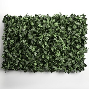 3D vertical green wall phytowall model