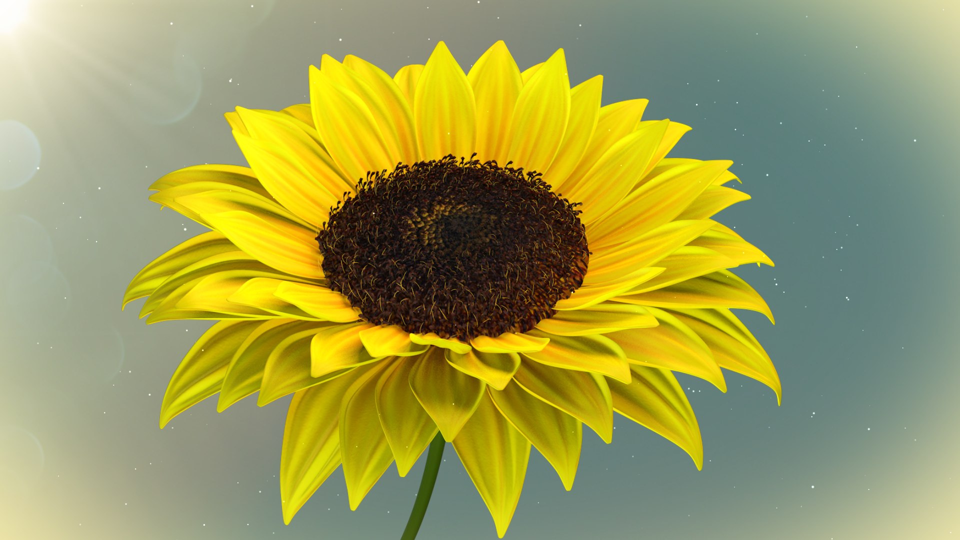 Sunflower 3d Animated Model 3D model https://p.turbosquid.com/ts-thumb/QJ/Gu3pXr/jy/06/jpg/1677787961/1920x1080/fit_q87/145a293ea683e1be2d73376b0bac70cfebf2d513/06.jpg