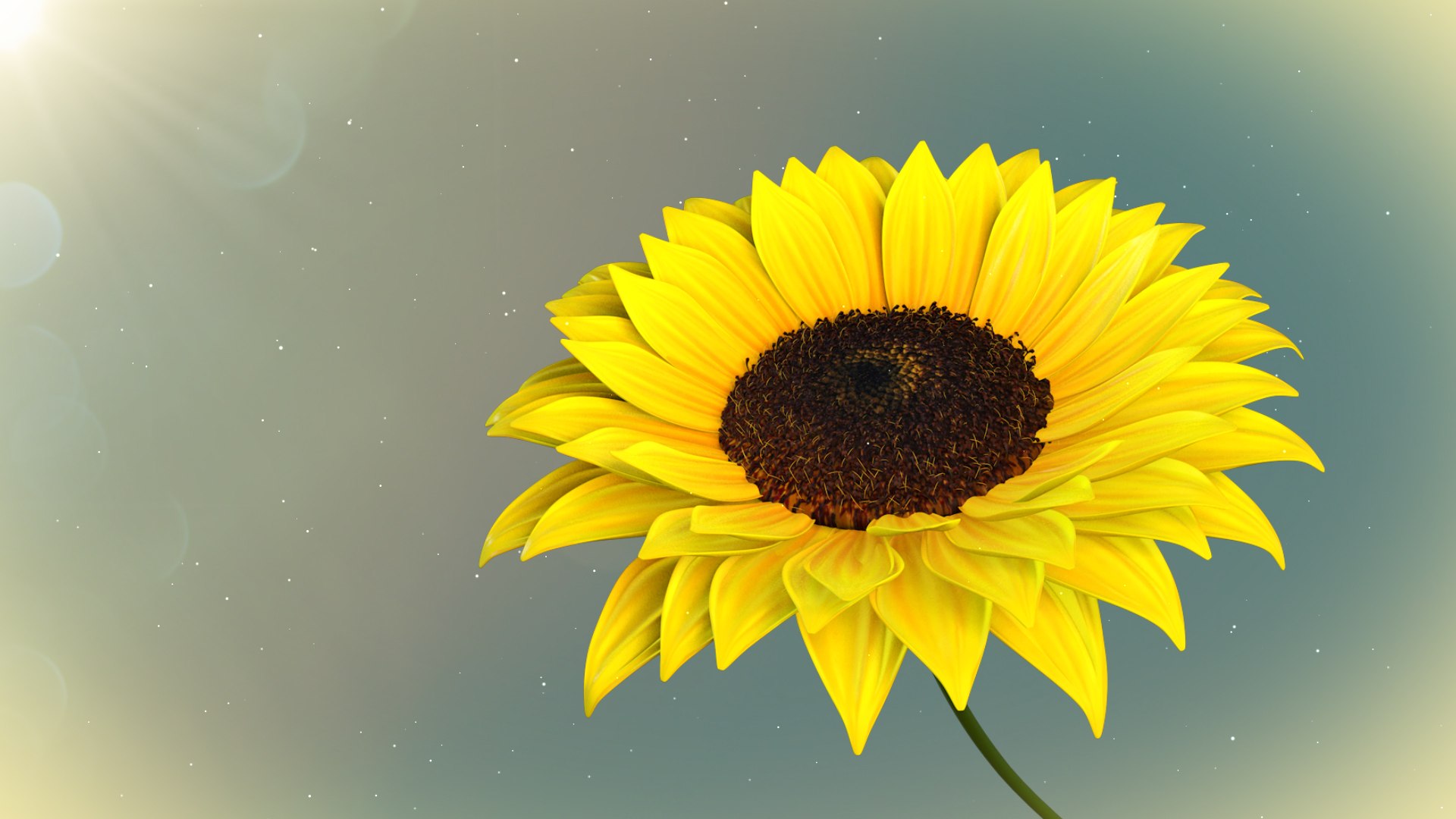 Sunflower 3d Animated Model 3D model https://p.turbosquid.com/ts-thumb/QJ/Gu3pXr/oj/01/jpg/1677787937/1920x1080/fit_q87/6c497f489fee07e3988b8bcdba3a8e791b731f99/01.jpg