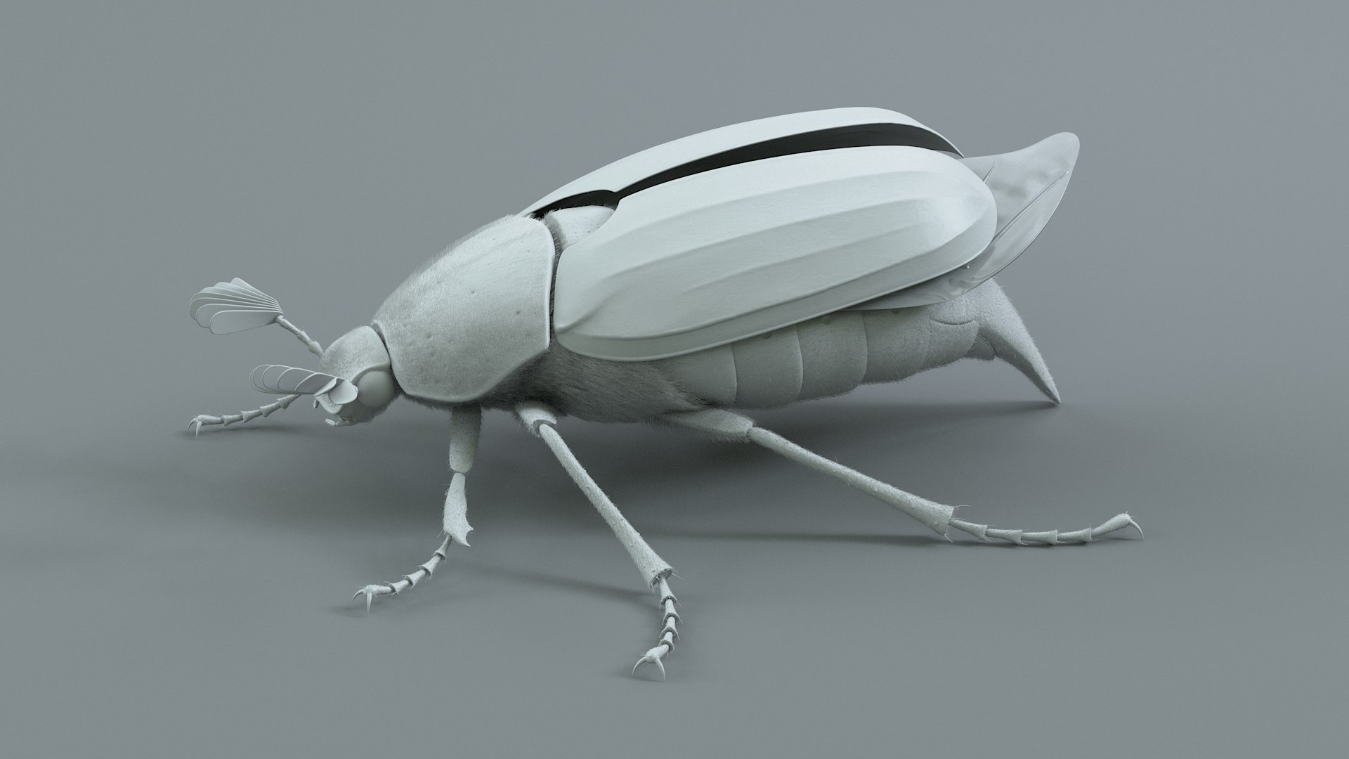Cockchafer Rigged Xgen model https://p.turbosquid.com/ts-thumb/QJ/HYjuwO/0y/cockchafer_17/jpg/1729586458/1920x1080/fit_q87/559dfa40c854f48bd81fa8167480f6795befe982/cockchafer_17.jpg