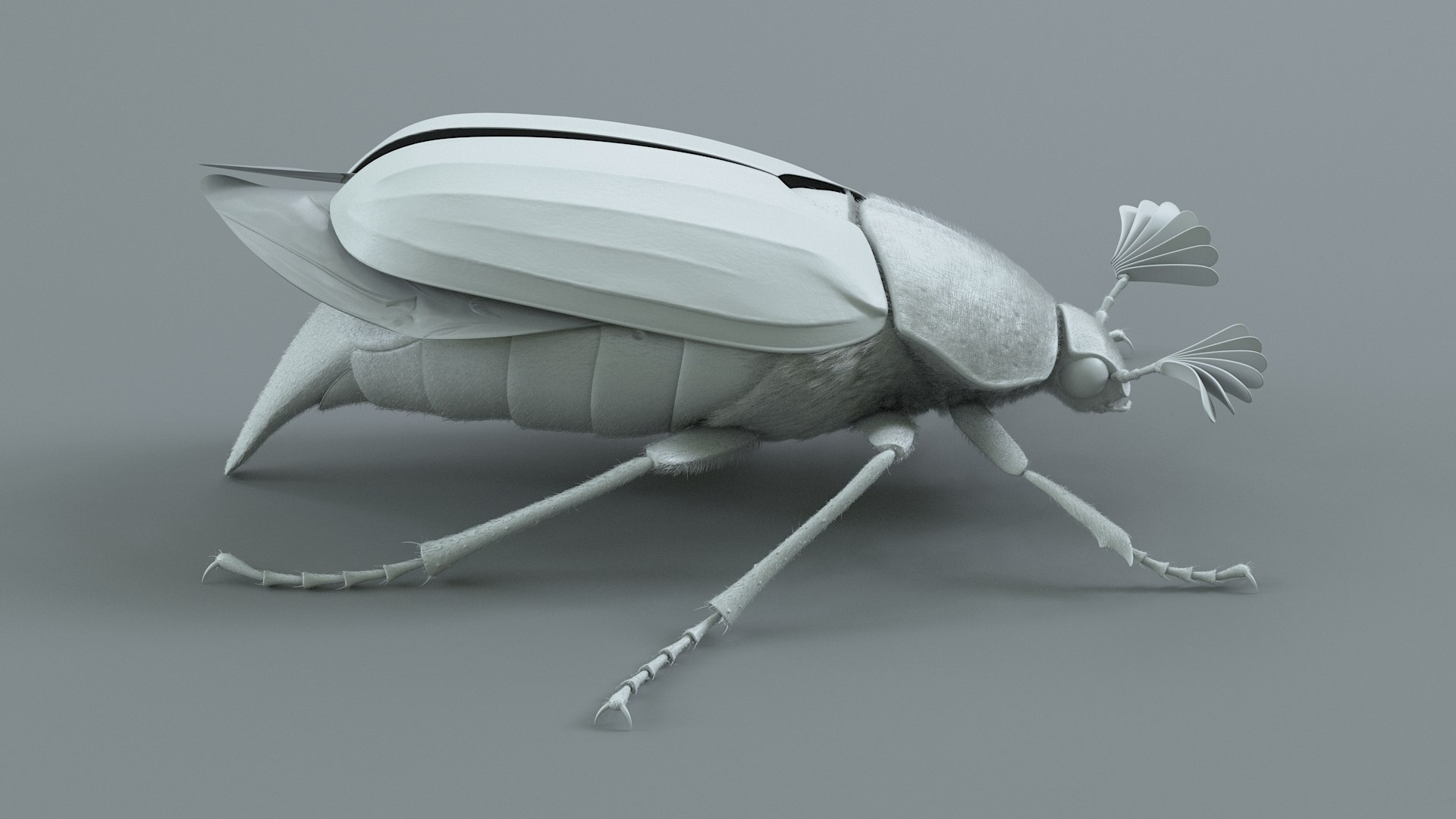 Cockchafer Rigged Xgen model https://p.turbosquid.com/ts-thumb/QJ/HYjuwO/17/cockchafer_14/jpg/1729586453/1920x1080/fit_q87/1d5f9e60c5c8b66035b7e5d00b166ee0e986ee6a/cockchafer_14.jpg