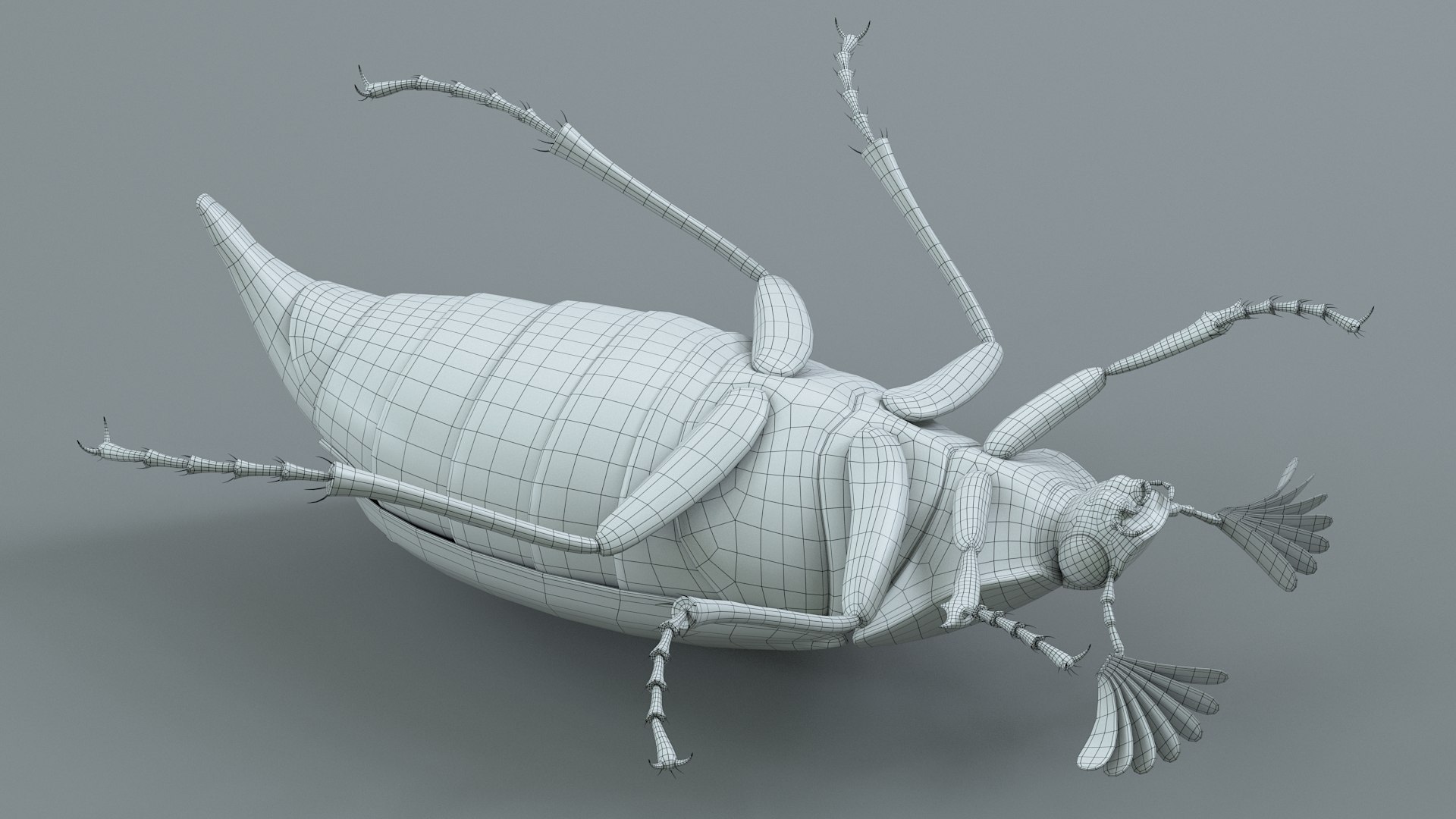 Cockchafer Rigged Xgen model https://p.turbosquid.com/ts-thumb/QJ/HYjuwO/1h/cockchafer_33/jpg/1729586520/1920x1080/fit_q87/b7def64d971b2ae73af190bfdf6320f9da240bf0/cockchafer_33.jpg