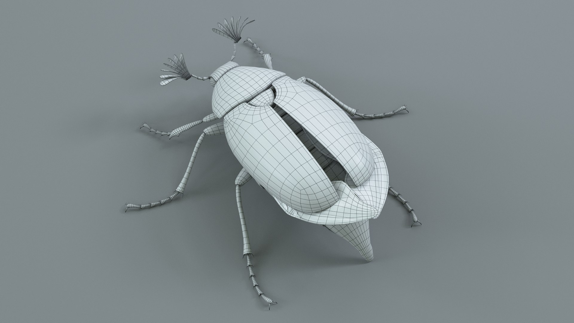 Cockchafer Rigged Xgen model https://p.turbosquid.com/ts-thumb/QJ/HYjuwO/8M/cockchafer_28/jpg/1729586495/1920x1080/fit_q87/435f8381bc64ba12fb71c2f490d96d911f028908/cockchafer_28.jpg