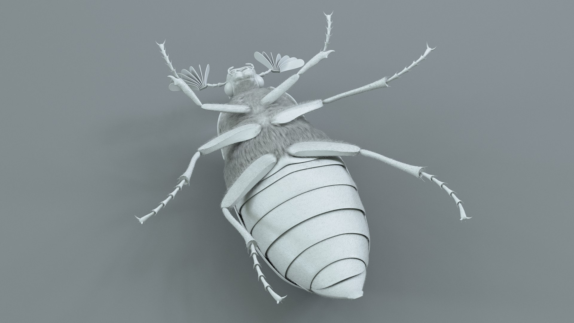 Cockchafer Rigged Xgen model https://p.turbosquid.com/ts-thumb/QJ/HYjuwO/AU/cockchafer_24/jpg/1729586486/1920x1080/fit_q87/38124b46633f0f50d857e9432bf0486b67eb7424/cockchafer_24.jpg