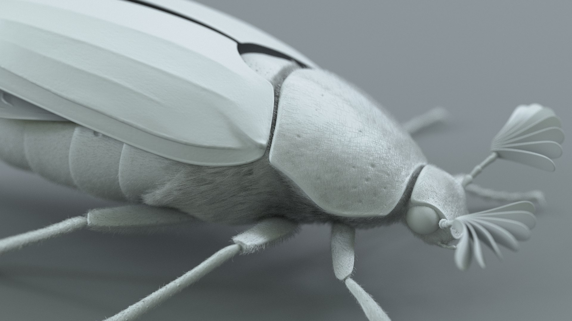 Cockchafer Rigged Xgen model https://p.turbosquid.com/ts-thumb/QJ/HYjuwO/CC/cockchafer_20/jpg/1729586471/1920x1080/fit_q87/307557a54477351c9fba4ee3c4acb22f7ec01606/cockchafer_20.jpg