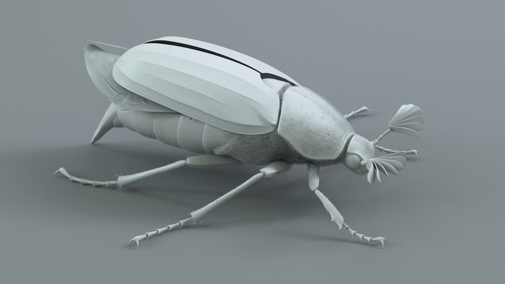 Cockchafer Rigged Xgen model https://p.turbosquid.com/ts-thumb/QJ/HYjuwO/HM/cockchafer_13/jpg/1729586453/1920x1080/fit_q87/7ec798b033c328db12d7baed16d05500fc706ff1/cockchafer_13.jpg