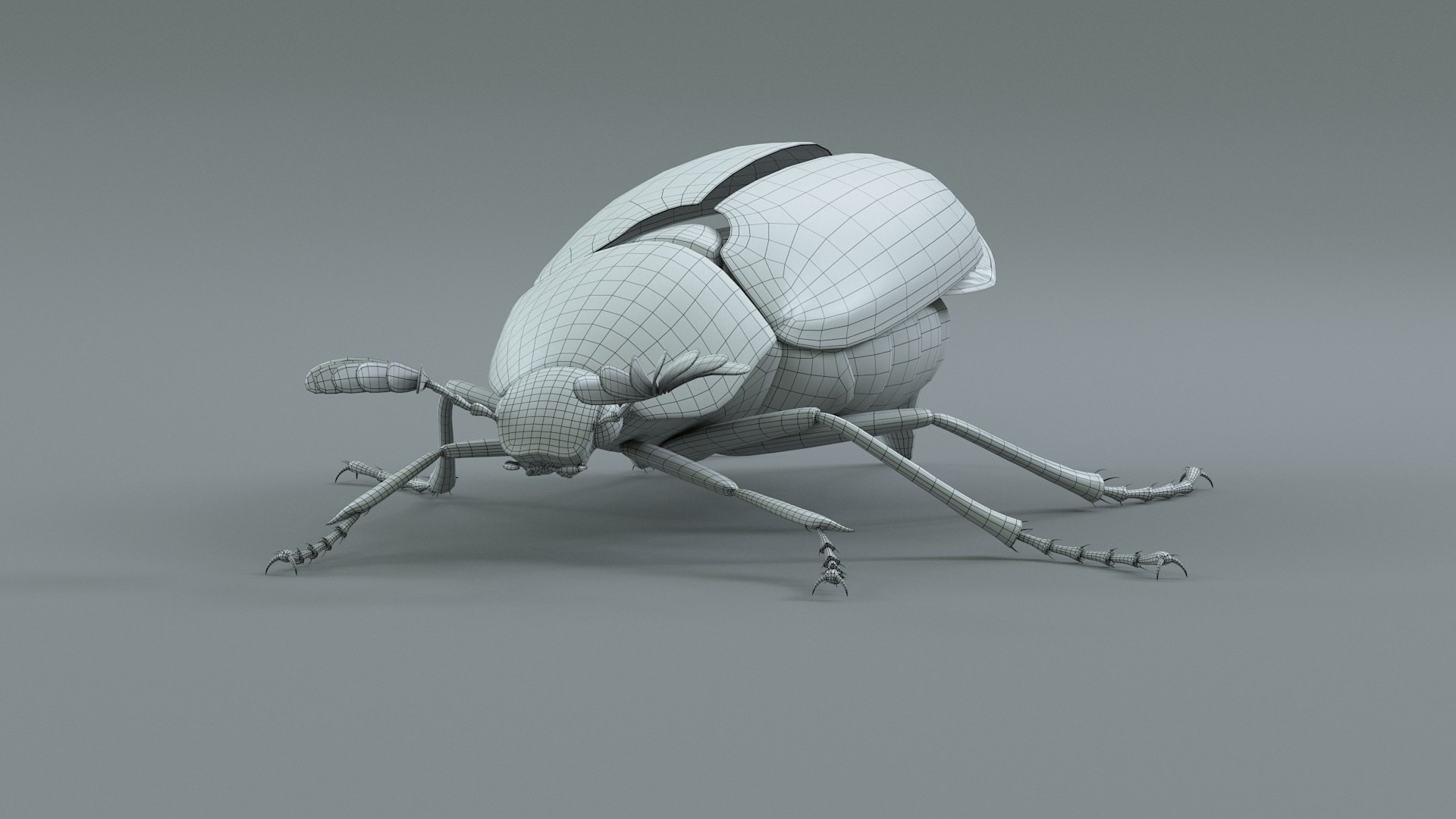 Cockchafer Rigged Xgen model https://p.turbosquid.com/ts-thumb/QJ/HYjuwO/Hh/cockchafer_30/jpg/1729586509/1920x1080/fit_q87/afa832745c64b324416aa1edb5a2397f4e45e052/cockchafer_30.jpg