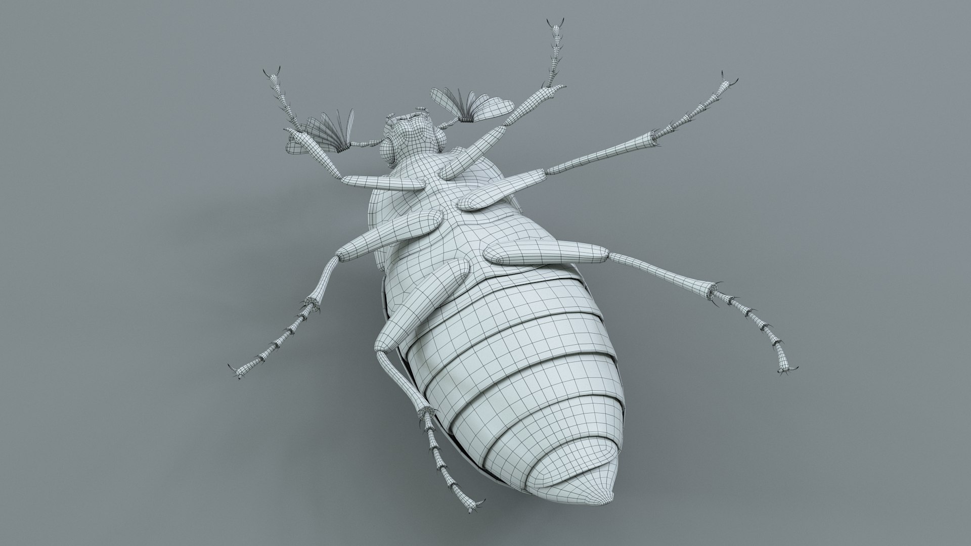Cockchafer Rigged Xgen model https://p.turbosquid.com/ts-thumb/QJ/HYjuwO/MP/cockchafer_35/jpg/1729586521/1920x1080/fit_q87/ed335dae2e077f83d1a1f72c94757a4cfe32384b/cockchafer_35.jpg