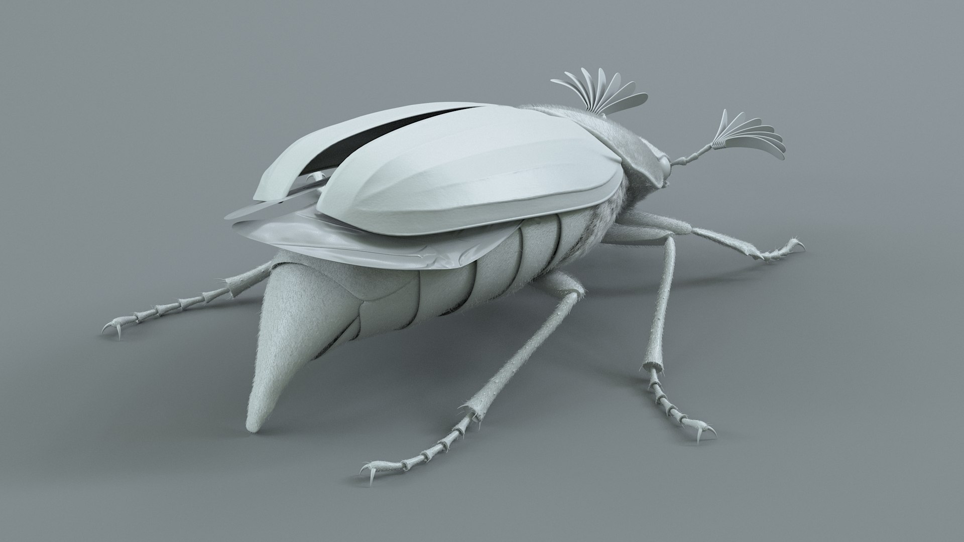 Cockchafer Rigged Xgen model https://p.turbosquid.com/ts-thumb/QJ/HYjuwO/UE/cockchafer_15/jpg/1729586456/1920x1080/fit_q87/4f1d0d0231e47a553c83451be4870c4e4b9206ff/cockchafer_15.jpg