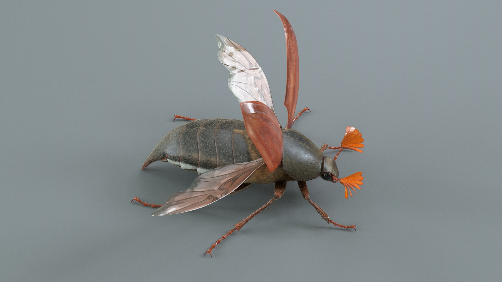 Cockchafer Rigged Xgen model https://p.turbosquid.com/ts-thumb/QJ/HYjuwO/az/cockchafertbb/jpg/1729586370/1920x1080/turn_fit_q99/07232ea21d5942ffddb6ba5651a00a91d1c04191/cockchafertbb-1.jpg