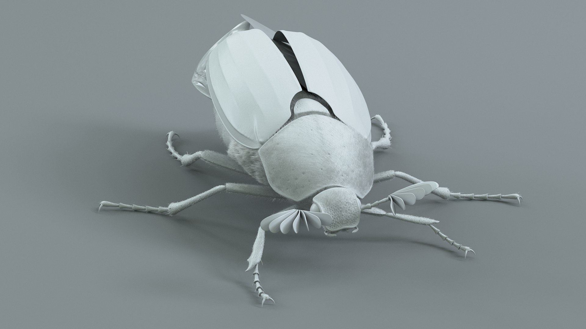 Cockchafer Rigged Xgen model https://p.turbosquid.com/ts-thumb/QJ/HYjuwO/cu/cockchafer_19/jpg/1729586469/1920x1080/fit_q87/0882cb13c7b5327305c646ac72176d6dffbc3971/cockchafer_19.jpg