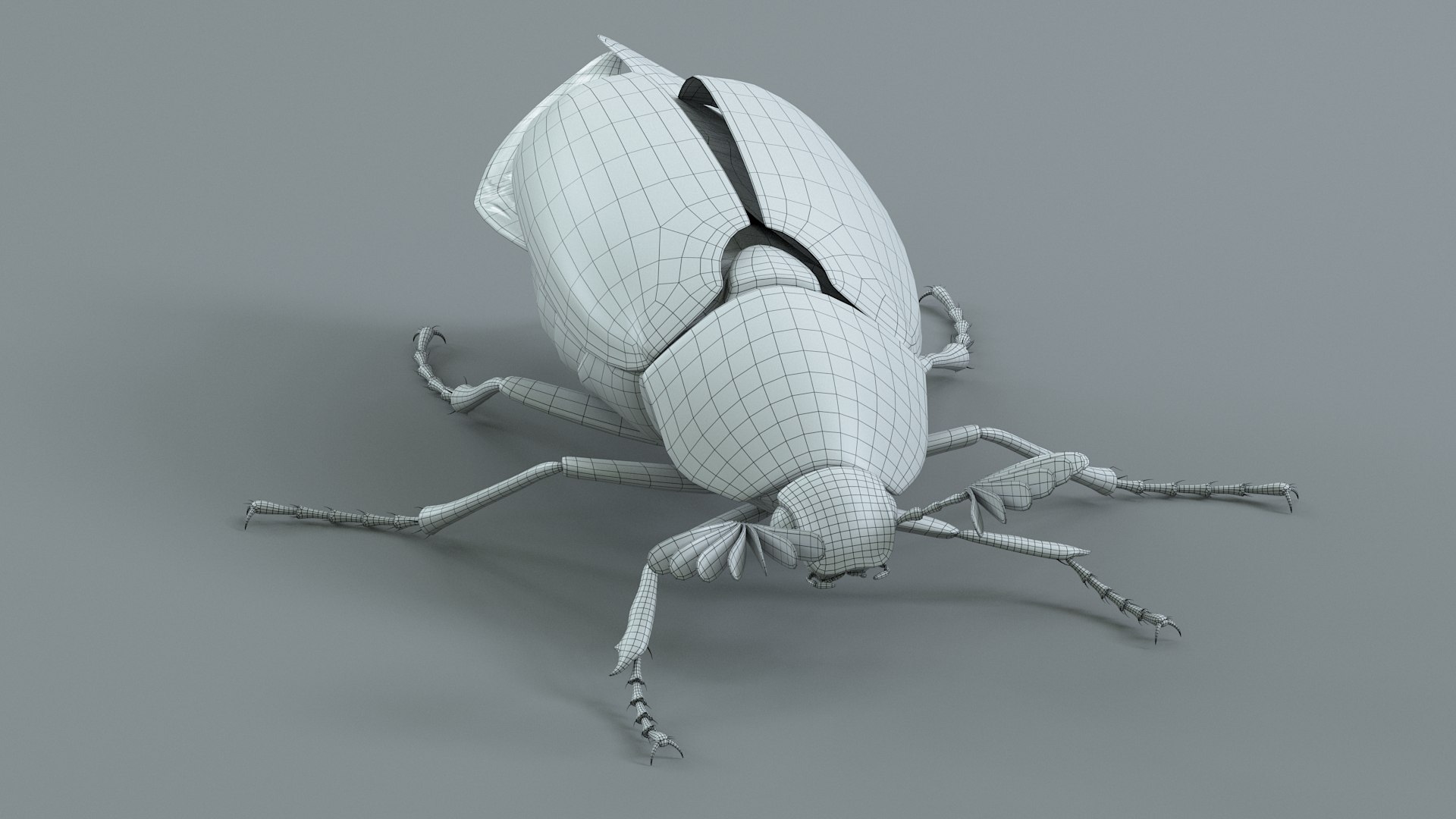 Cockchafer Rigged Xgen model https://p.turbosquid.com/ts-thumb/QJ/HYjuwO/eY/cockchafer_31/jpg/1729586509/1920x1080/fit_q87/926f6e88777a9d3b5d7248278d107da1bf639677/cockchafer_31.jpg